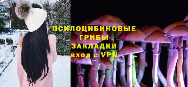 эйфоретик Арсеньев