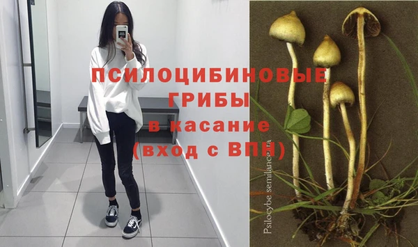 эйфоретик Арсеньев