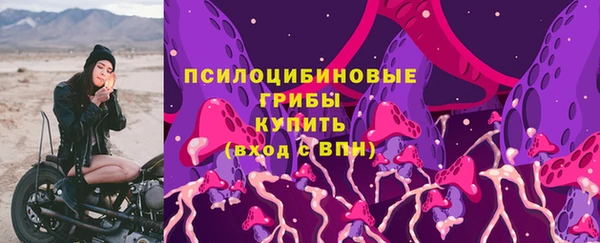 таблы Алзамай